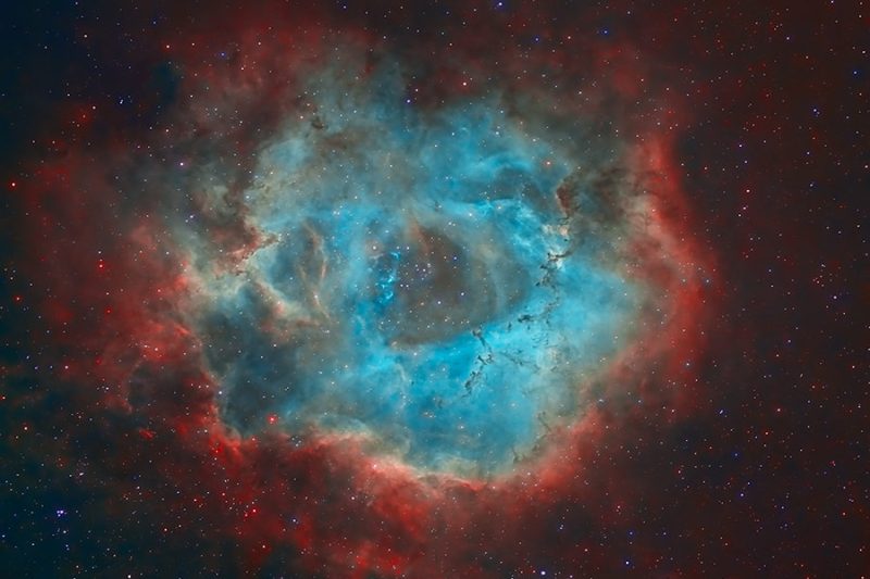 La rosette