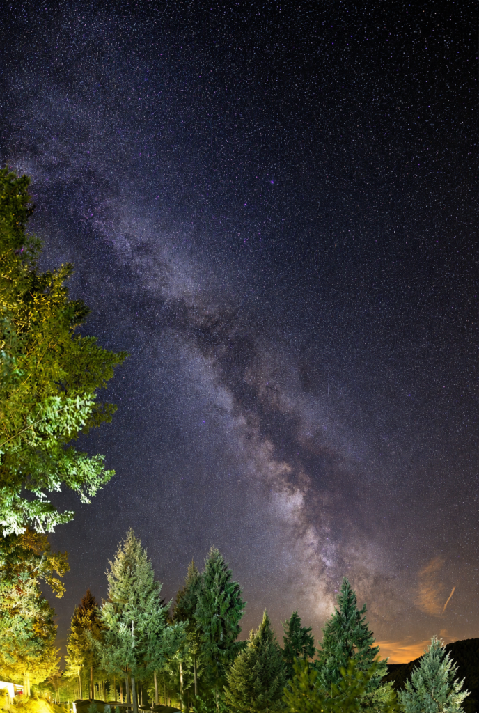 Star-filled night sky with the Milky Way over a lit pine forest at foreground.